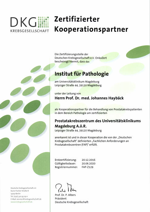 DKG-Zertifikat Kooperationspartner ´´Pathologie´´ --- Universitäres Prostatakrebszentrum Magdeburg 2016