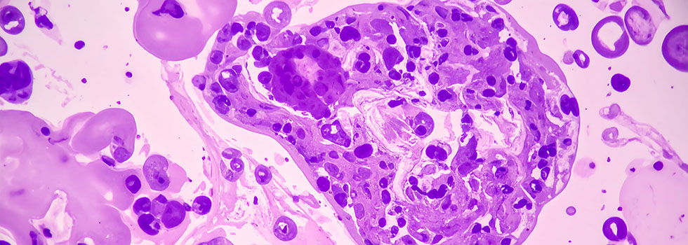 Diagnostik - © Sam - stock.adobe