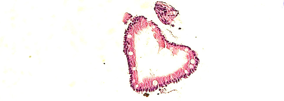 Patienten_2