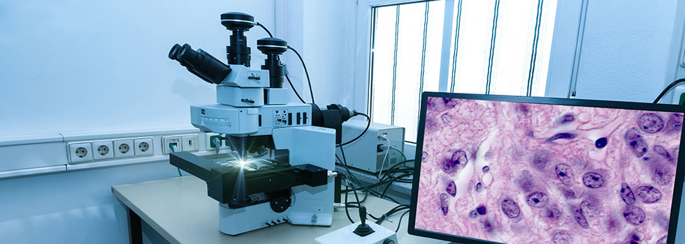 Zytopathologie_2