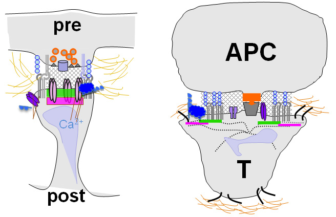 B08_Figure1 B08_Figure1